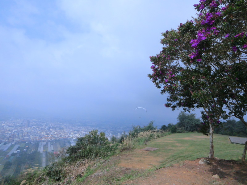 img0012.jpg