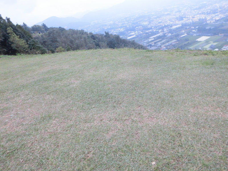 img0016.jpg