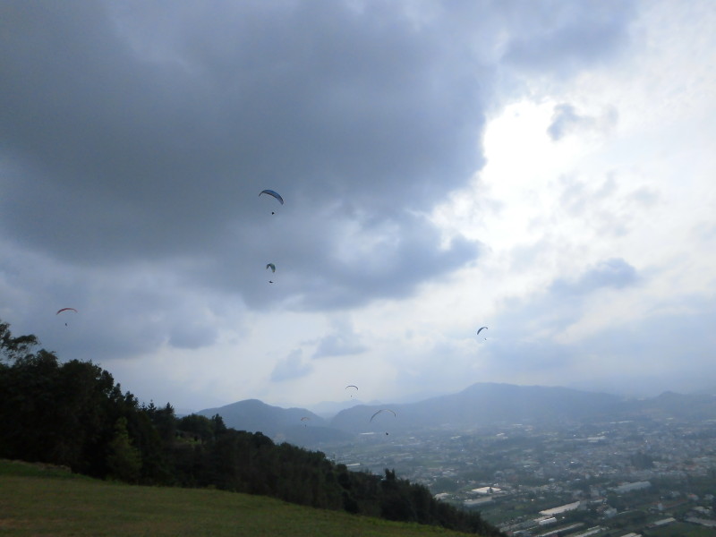 img0040.jpg