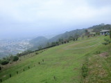 img0011.jpg