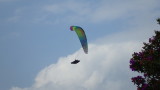 img0037.jpg