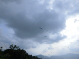 img0041.jpg