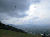 img0042.jpg