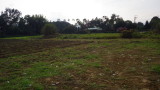 img0054.jpg