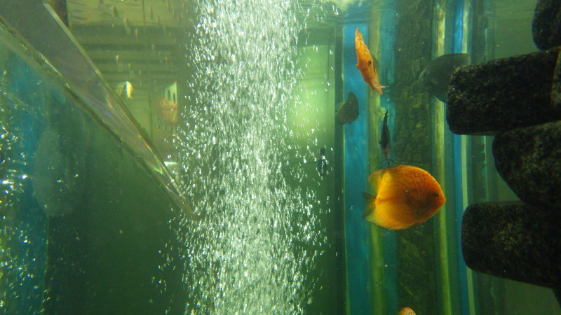 img0027.jpg