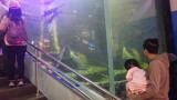 img0018.jpg