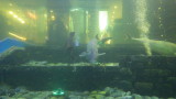 img0026.jpg