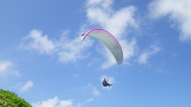 img0019.jpg