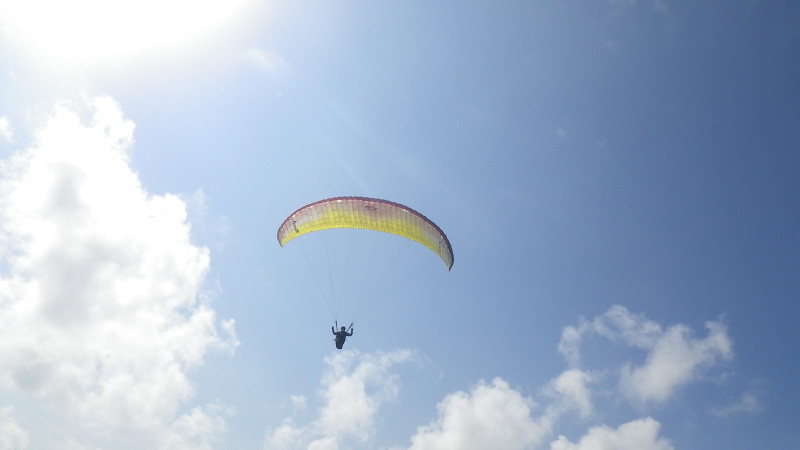 img0021.jpg