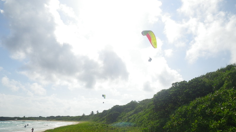 img0036.jpg