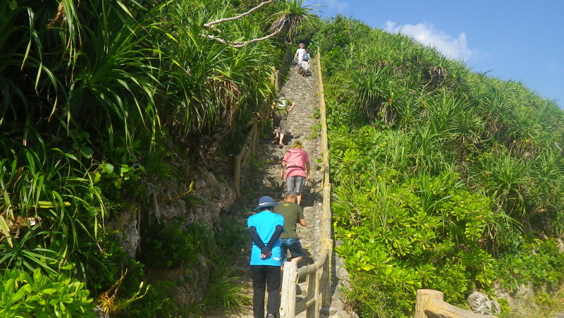 img0074.jpg