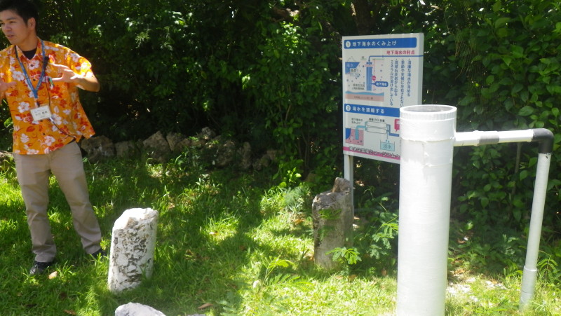 img0116.jpg