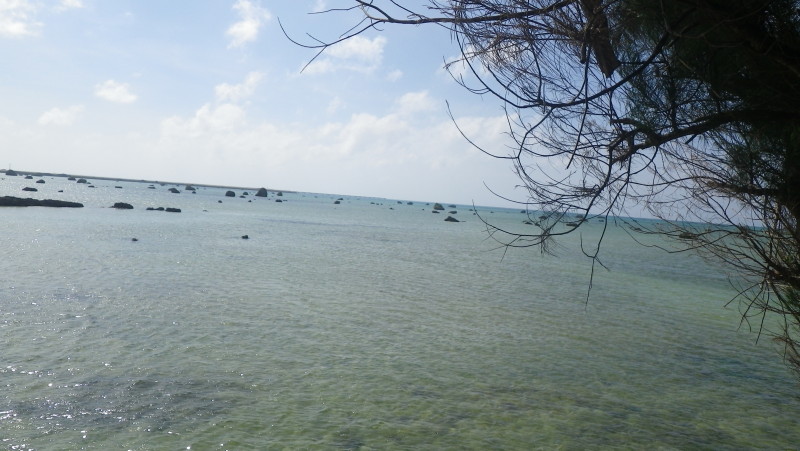 img0140.jpg