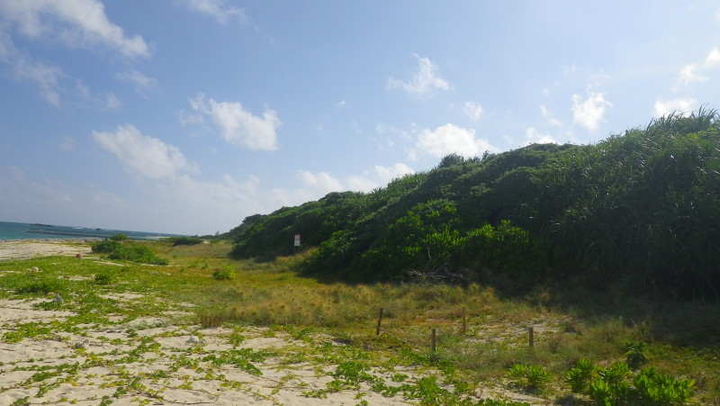 img0144.jpg