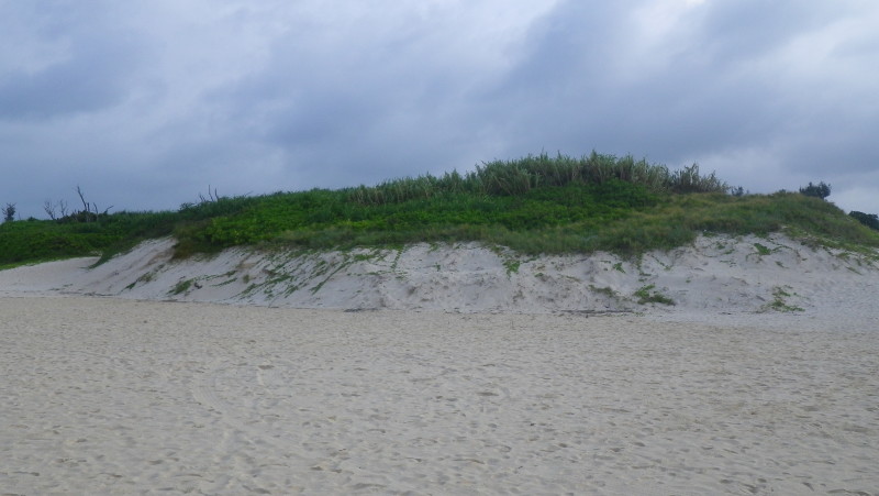 img0164.jpg