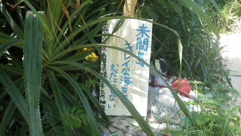 img0203.jpg