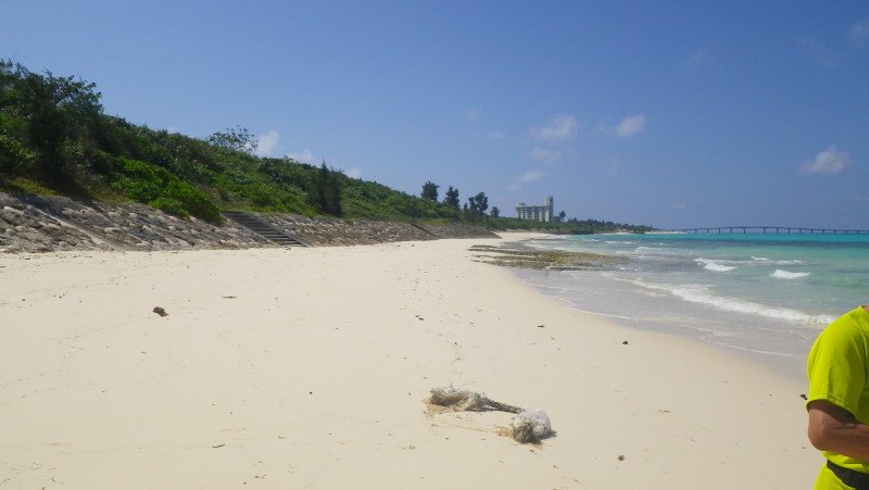 img0216.jpg