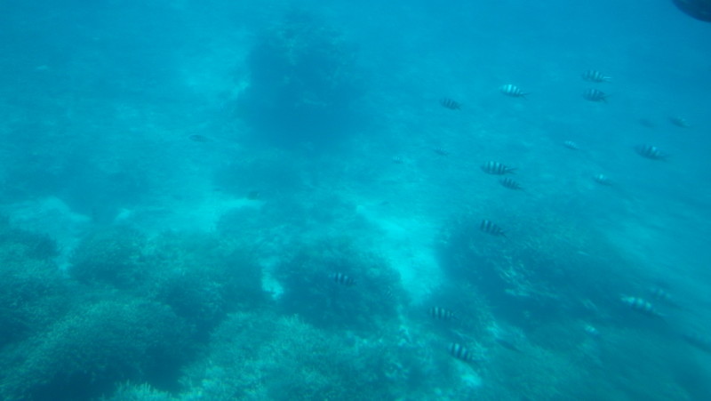 img0228.jpg