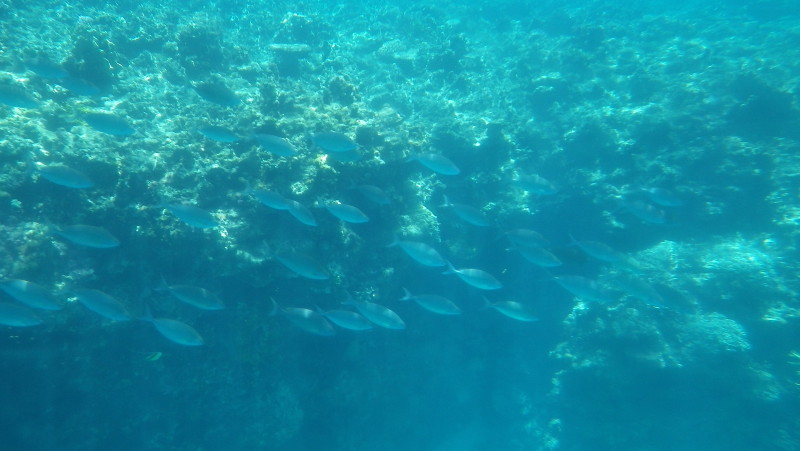 img0233.jpg
