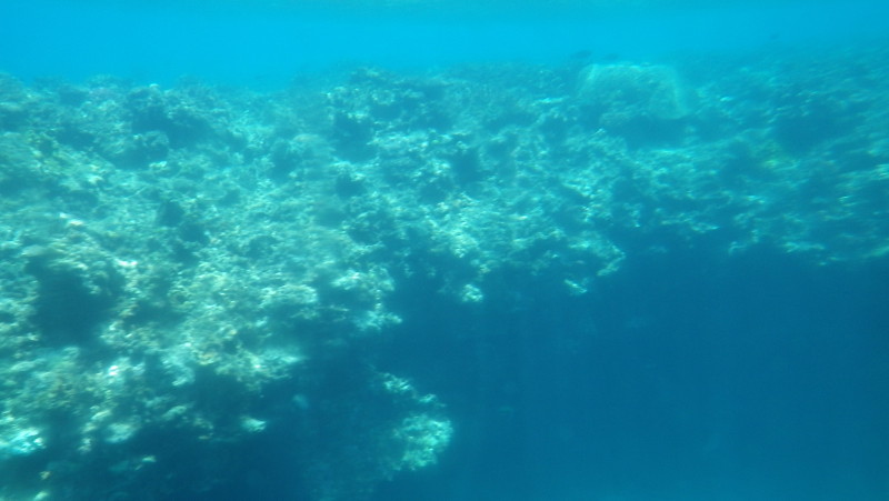 img0235.jpg