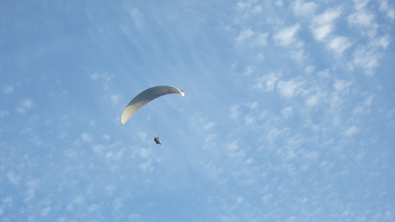 img0280.jpg