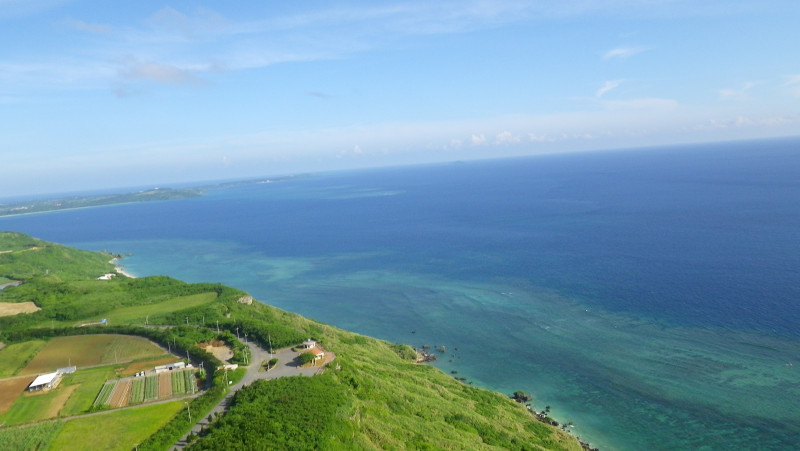 img0335.jpg