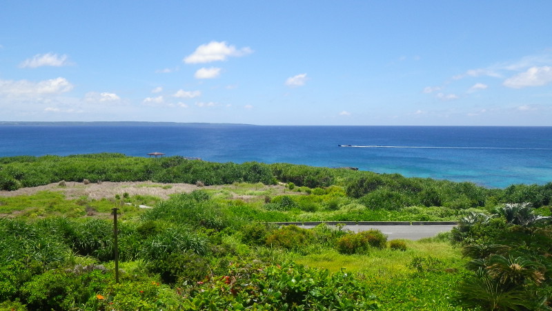 img0375.jpg