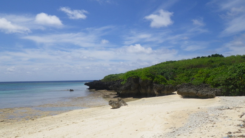 img0403.jpg