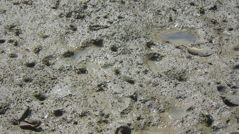 img0415.jpg