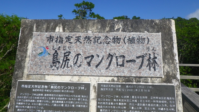 img0417.jpg