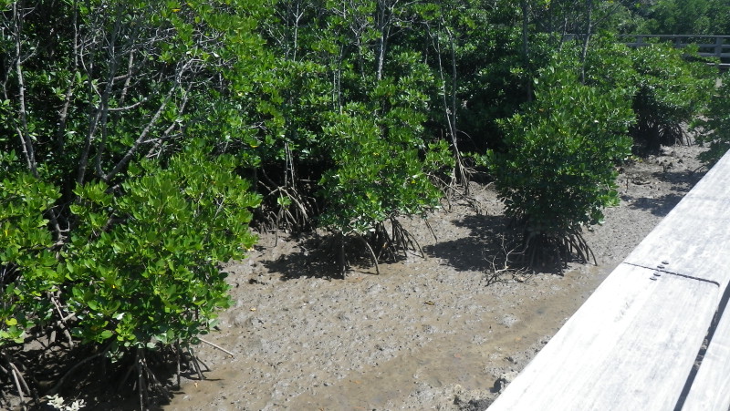img0419.jpg