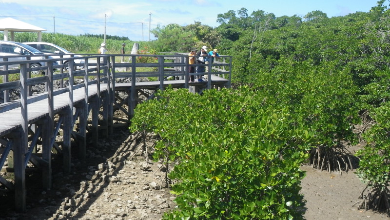 img0424.jpg