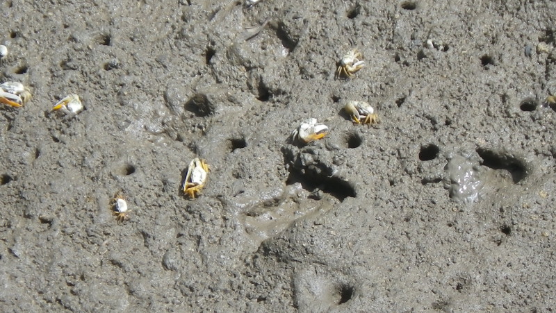 img0425.jpg