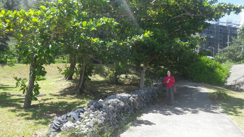 img0446.jpg
