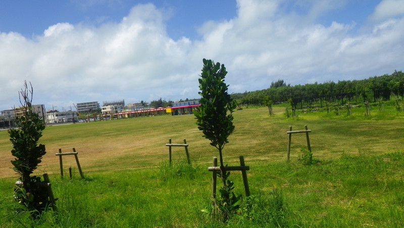 img0452.jpg