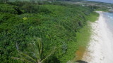 img0011.jpg