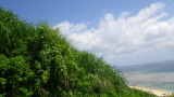 img0089.jpg