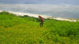 img0090.jpg