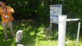 img0116.jpg