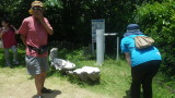 img0117.jpg