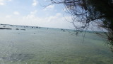 img0140.jpg