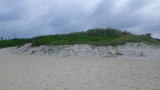 img0164.jpg