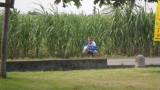 img0173.jpg