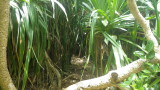 img0175.jpg