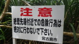 img0176.jpg