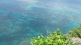img0178.jpg