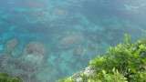 img0180.jpg