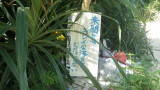 img0203.jpg