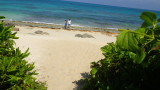 img0204.jpg
