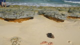img0205.jpg